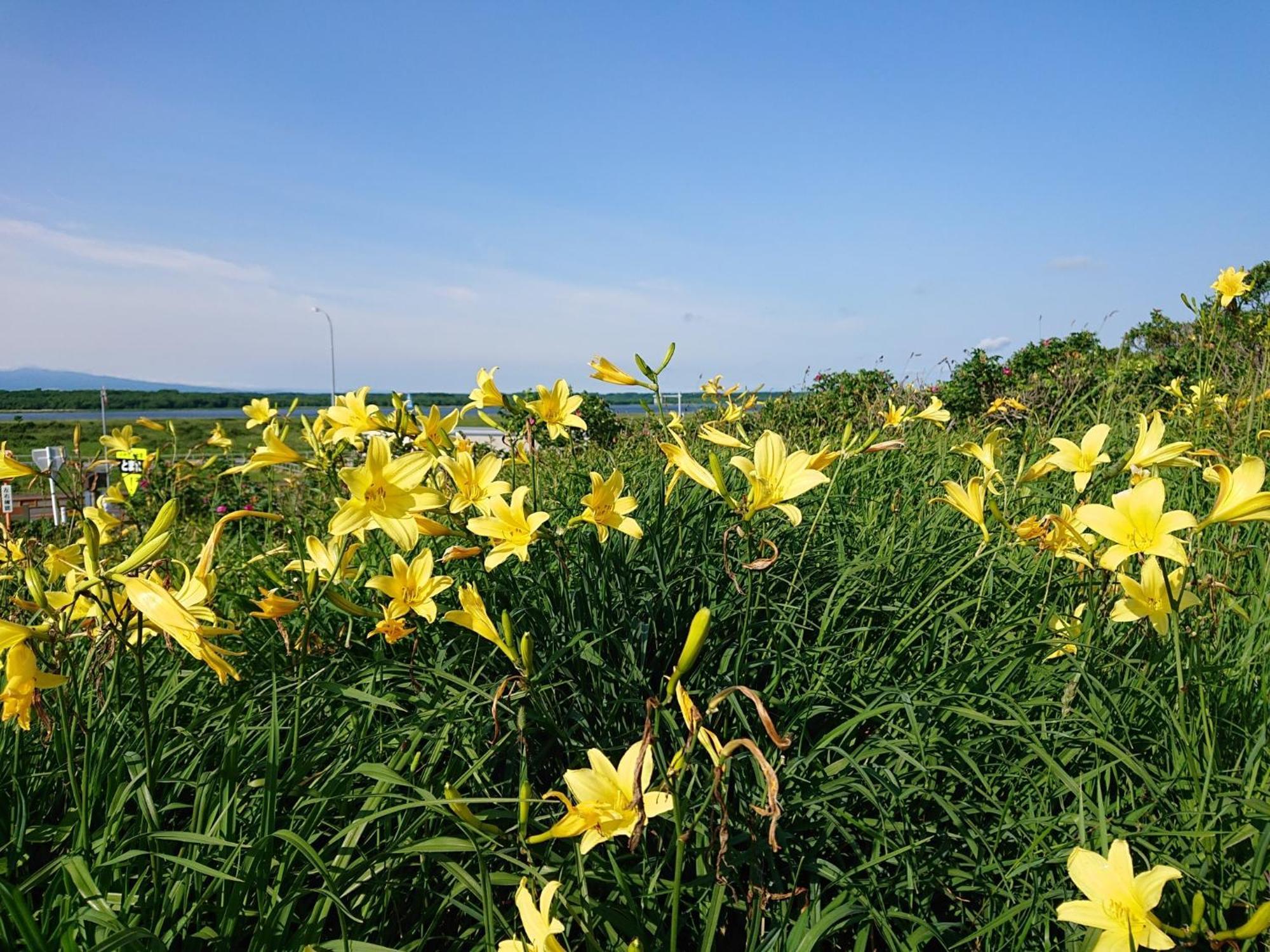 Sea Side Stay / Vacation STAY 1785 Abashiri Exterior foto